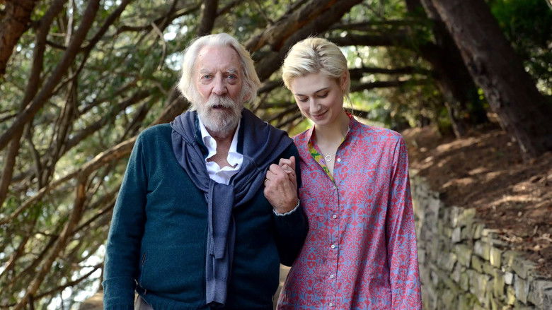 The Burnt Orange Heresy still