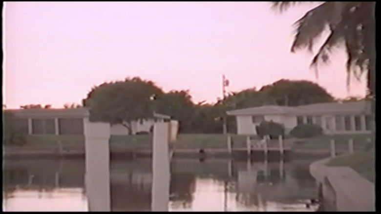 Toy Machine - Jump Off A Building still