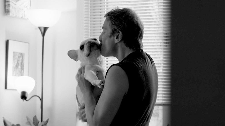 The Cosmic Idiot still