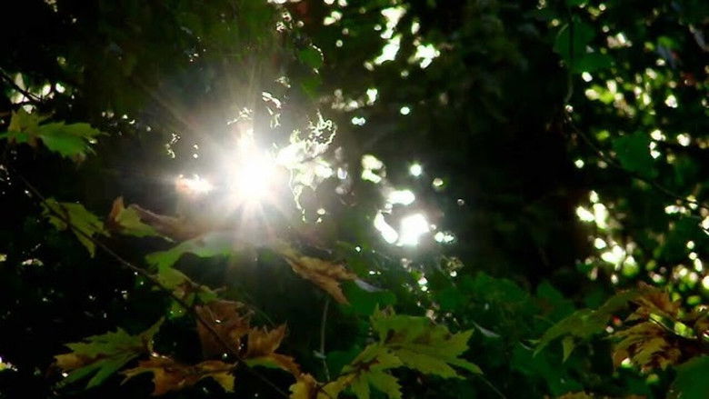 Golden Times – Cassandra’s Treasure still 1