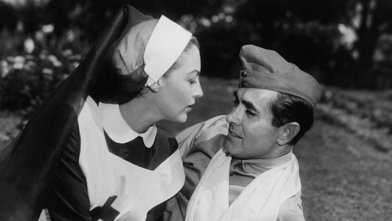 The Sun Also Rises still 1