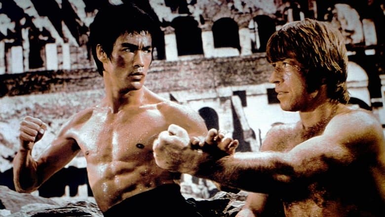 The Way of the Dragon still 4