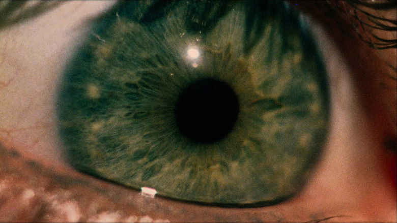 The Texas Chain Saw Massacre still