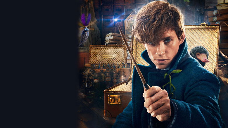 Fantastic Beasts and Where to Find Them still 4