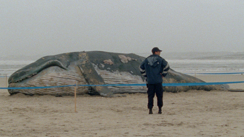 Arabian Nights: Volume 1, The Restless One still 1