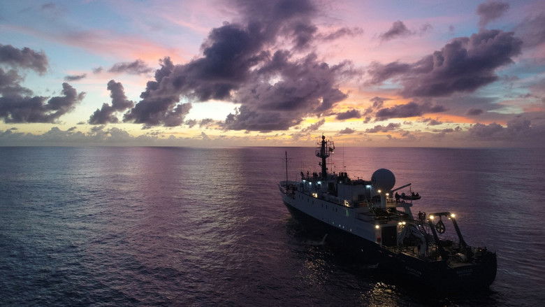 Expedition Amelia still