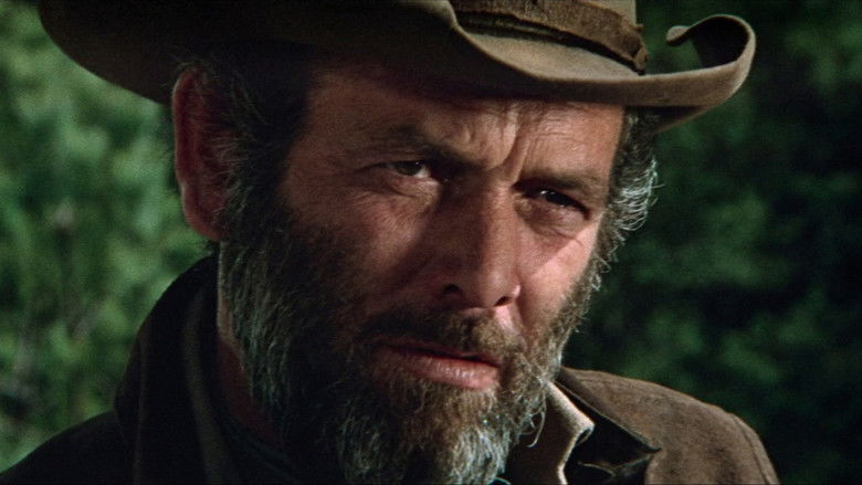 Macho Callahan still