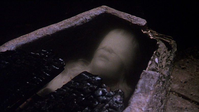 The Watcher in the Woods still