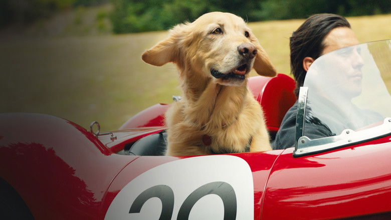 The Art of Racing in the Rain still