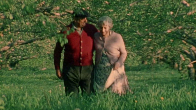 The Last Betrothal still