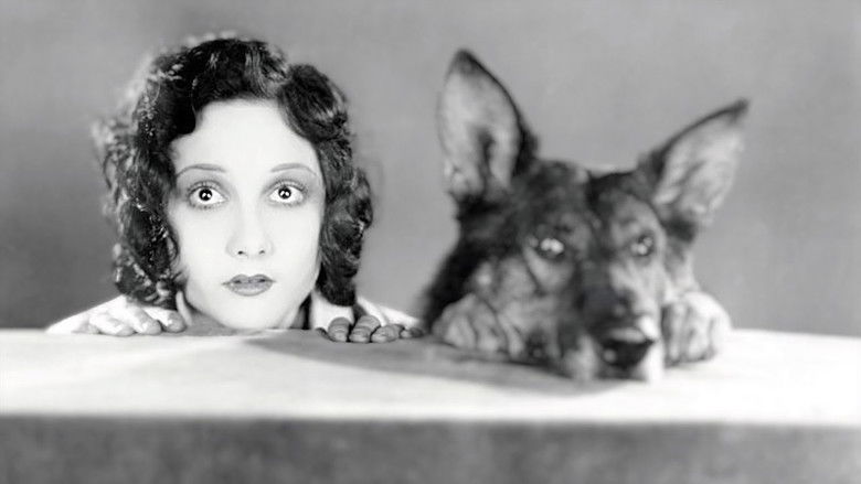 Where the North Begins still