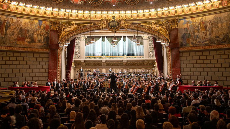 The Yellow Tie still 4