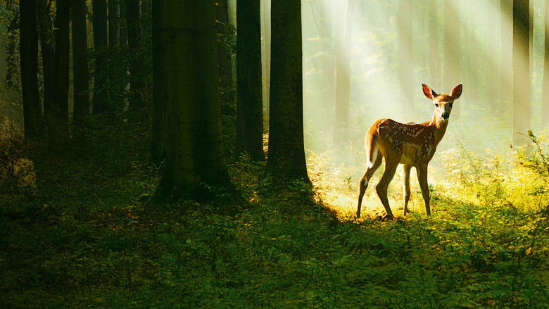 Bambi: A Tale of Life in the Woods still 4