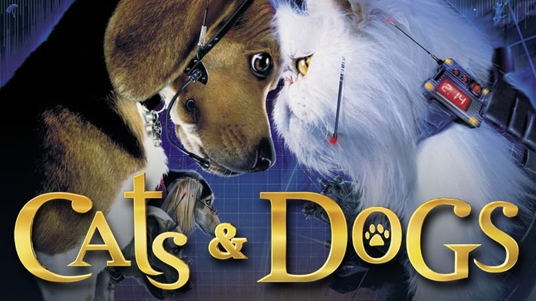 Cats & Dogs still 1