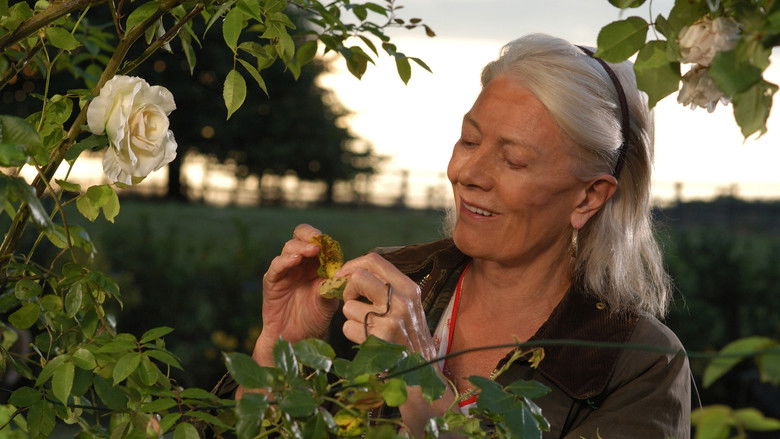 The Shell Seekers still