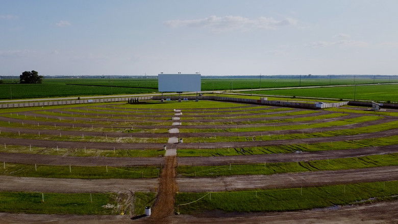 Back to the Drive-in still