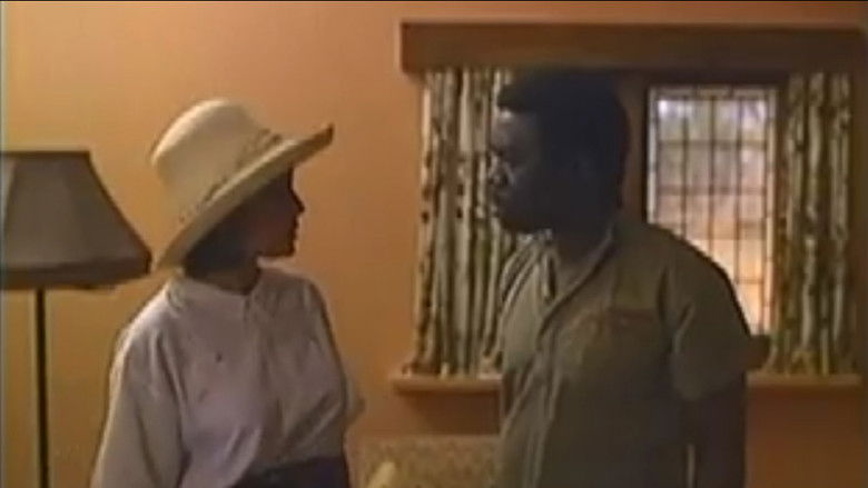 The Midday Sun still 2