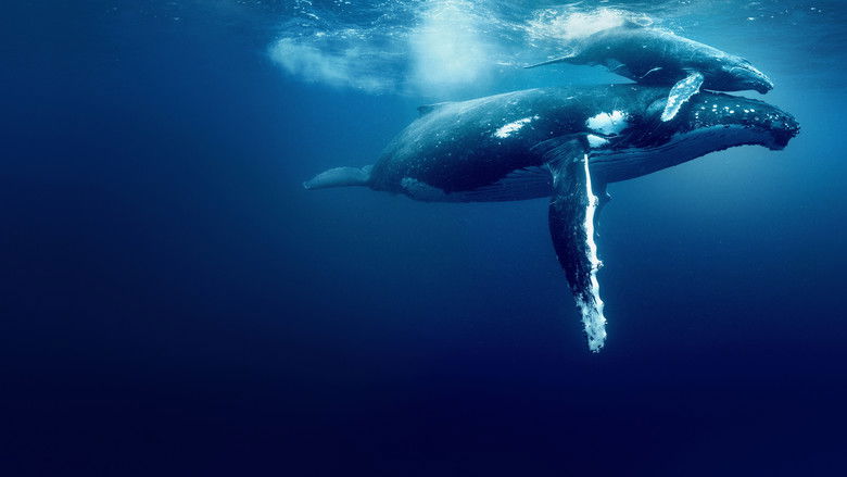 Ocean with David Attenborough still