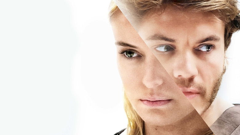 The Immaculate Room still