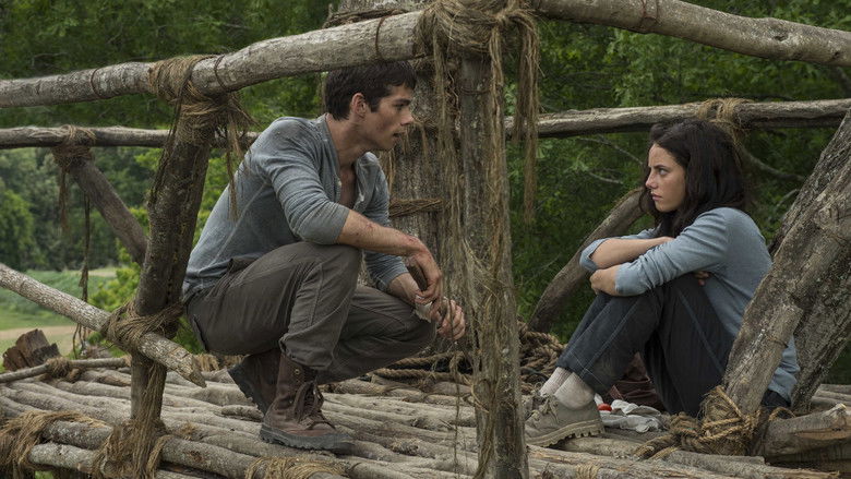 The Maze Runner still 4