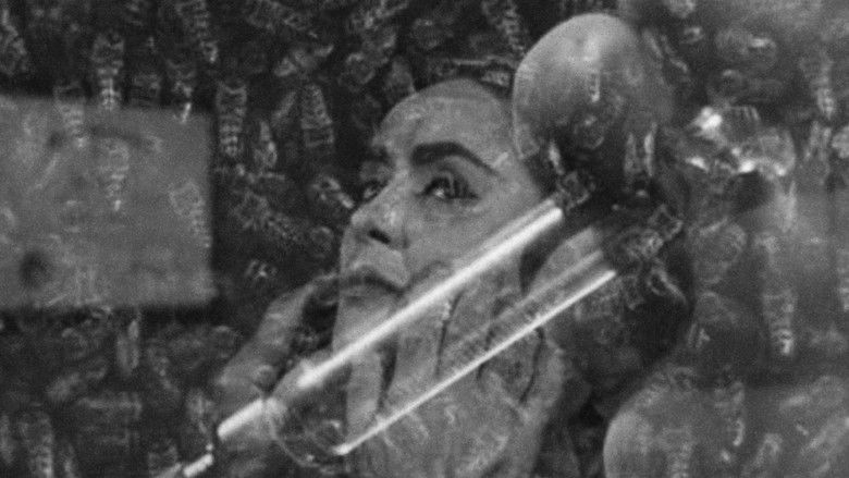 The Wasp Woman still