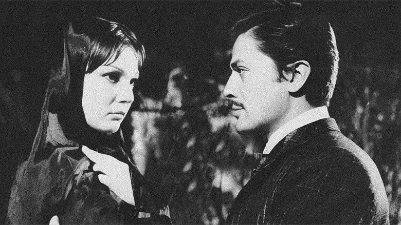 Four Women in the Harem still 2