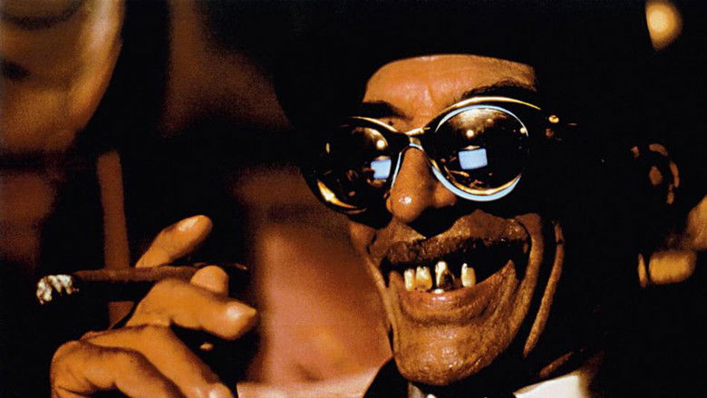 Black Cat, White Cat still 4