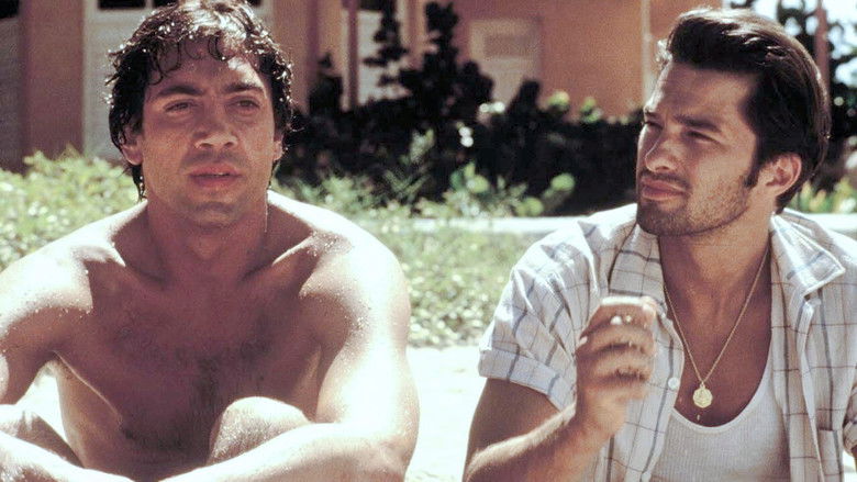 Before Night Falls still