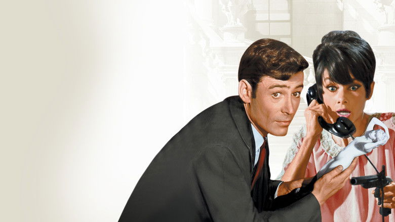 How to Steal a Million still 4