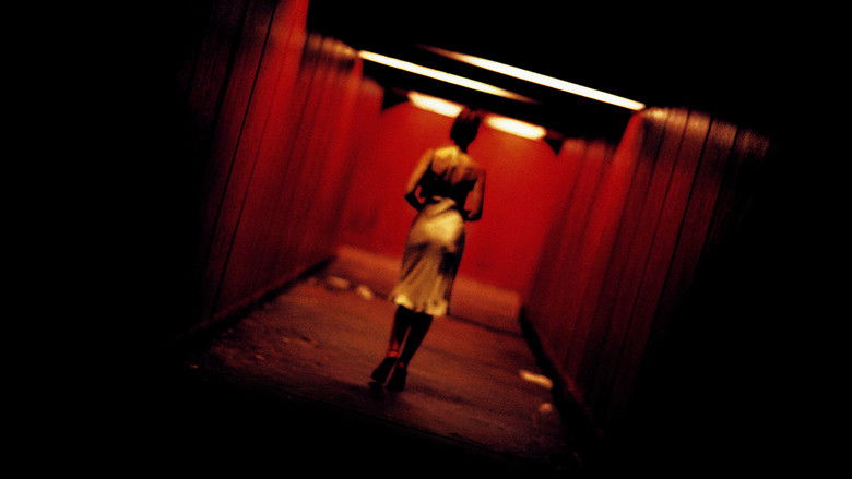 Irreversible still 3