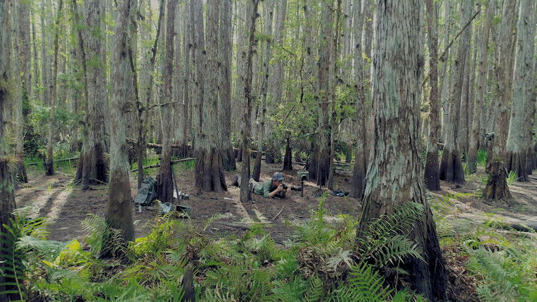 Path of the Panther still