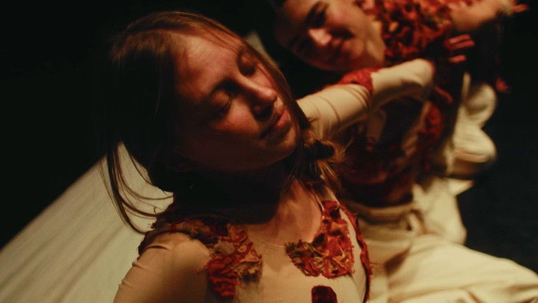 Match in a Haystack still 1