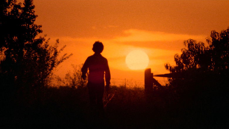 The Texas Chain Saw Massacre still