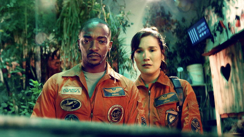 If You Were the Last still