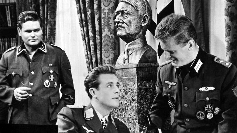 Ordered to Love still 3