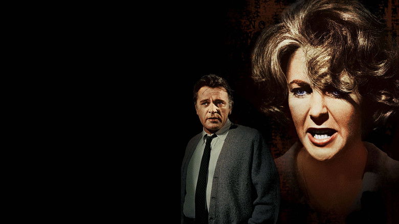 Who's Afraid of Virginia Woolf? still