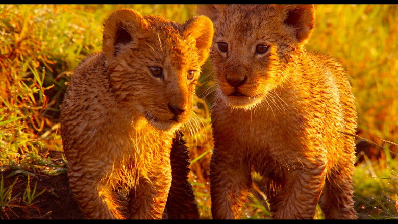 Enchanted Kingdom still