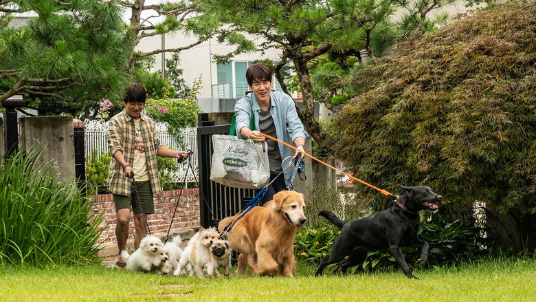 My Heart Puppy still 3