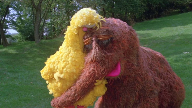 Follow That Bird still 2