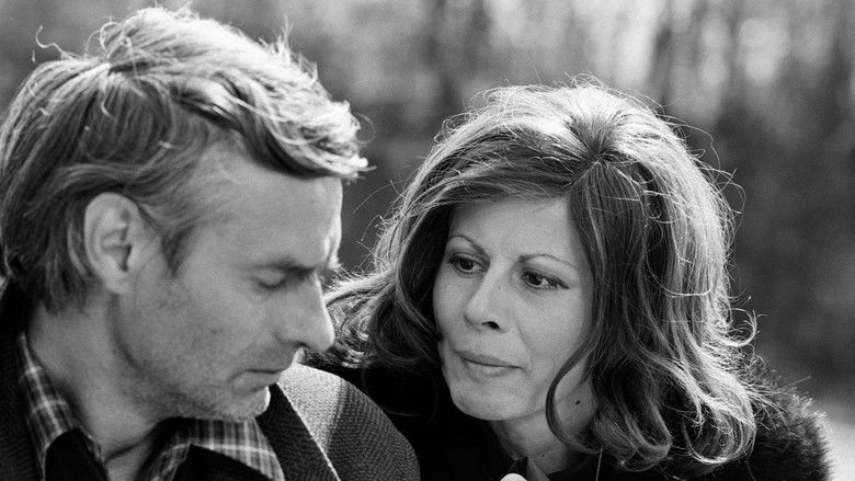 Big Night and Big Day still 1