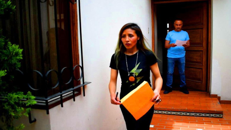 Cinereous Money still 4