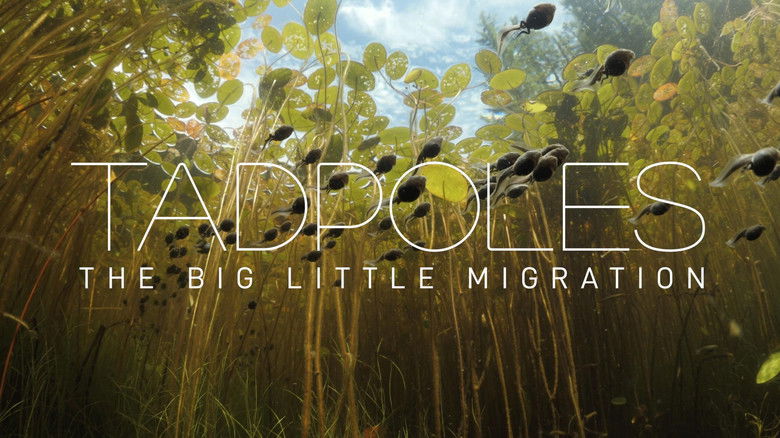 Tadpoles: The Big Little Migration still 1