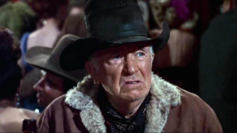 Support Your Local Sheriff! still