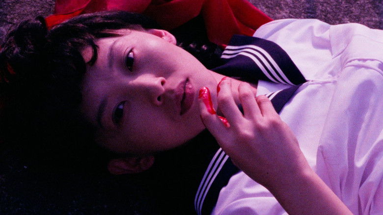 Turtle Vision still 4