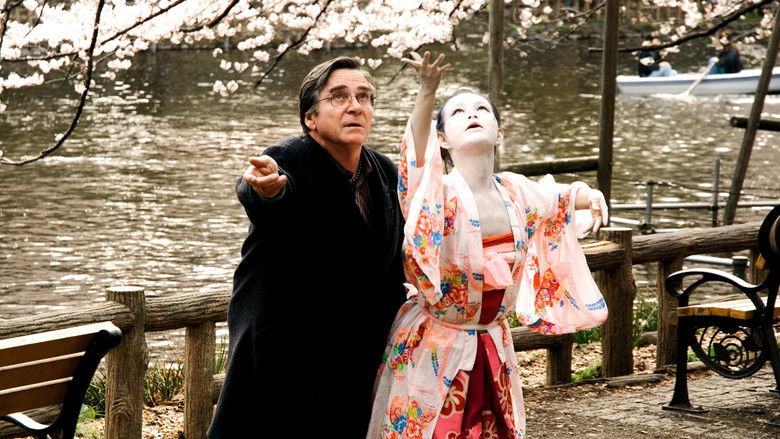 Cherry Blossoms still