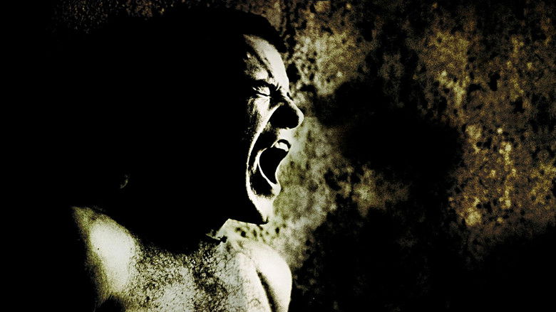 Midnight Express still