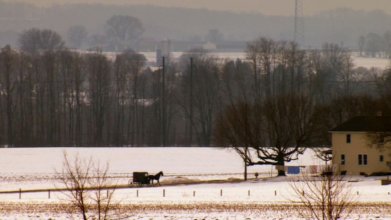 Saving Sarah Cain still 2