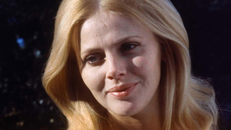 What the Peeper Saw still