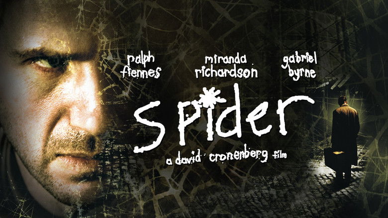 Spider still