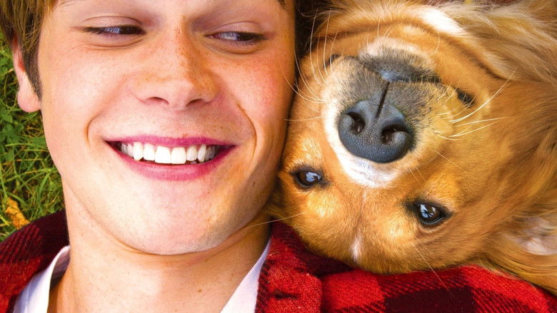 A Dog's Purpose still